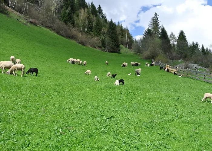 Ferienwohnungen Niederarnigerhof Familie Bauernfeind