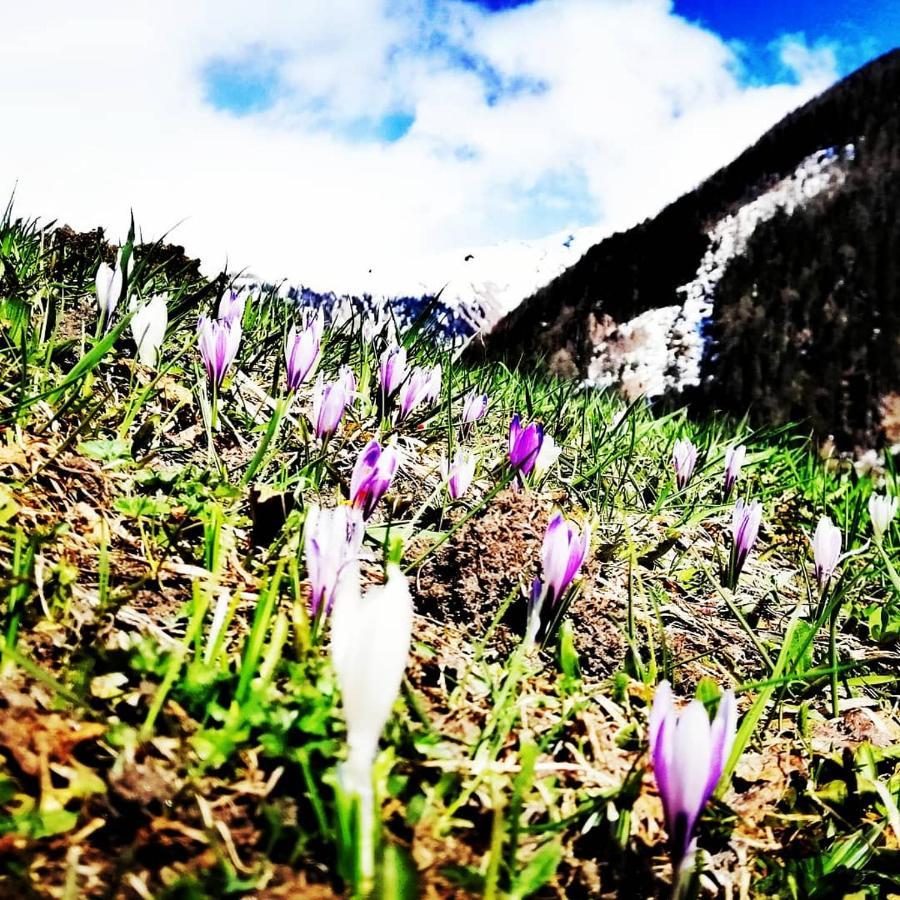 Bauernhof Niederarnigerhof Familie Bauernfeind Kals-am Großglockner