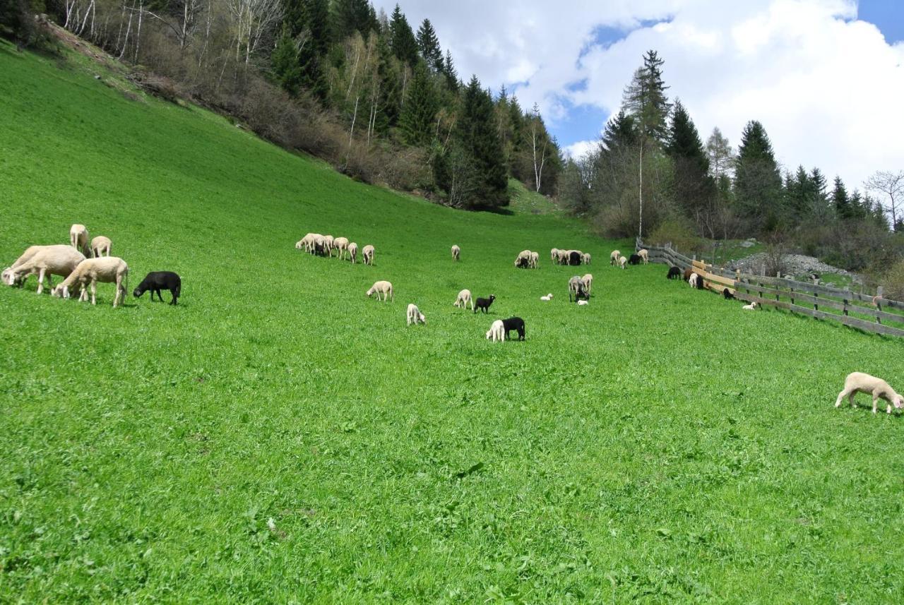 Bauernhof Niederarnigerhof Familie Bauernfeind