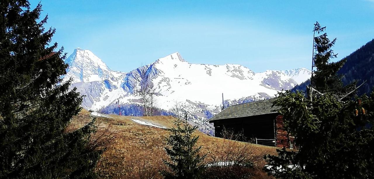 Niederarnigerhof Familie Bauernfeind Bauernhof Kals-am Großglockner
