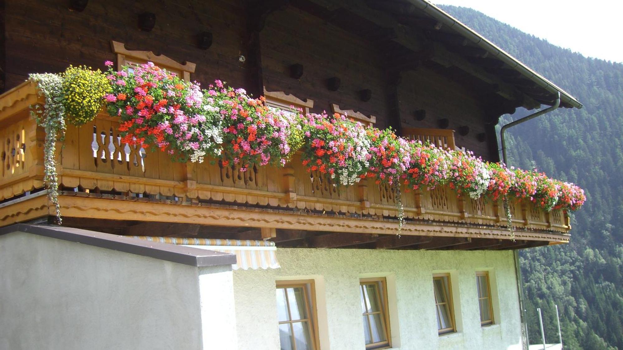 Bauernhof Niederarnigerhof Familie Bauernfeind Kals-am Großglockner